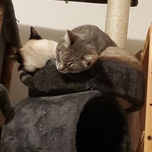 MEET YOUR POSHER 👋